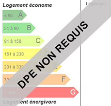 dpe non requis